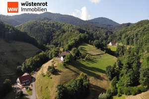 Bauernhof in traumhafter Landschaft ! – Die vollständige Adresse der Immobilie erhältst du vom Anbieter., 77728 Oppenau – Vorschaubild 3