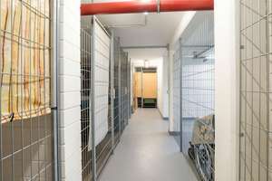 +++ Bezugsfreie 2-Zimmer-Wohnung mit Balkon, EBK und Tiefgarage mitten im grünen Trachau +++ – Die vollständige Adresse der Immobilie erhältst du vom Anbieter., 1129 Trachau, Dresden – Vorschaubild 21