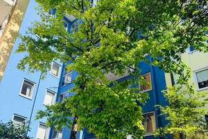 Schöne Wohnung in Maxvorstadt zum Selbstbezug – Die vollständige Adresse der Immobilie erhältst du vom Anbieter., 80335 Josephsplatz, München – Vorschaubild 5