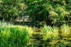 Kernsanierte Wohnung, eingebettet im hauseigenen Park mit Teich, Tennis- und Spielplatz – Die vollständige Adresse der Immobilie erhältst du vom Anbieter., 22587 Nienstedten, Hamburg – Vorschaubild 20