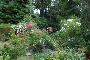 Property thumbnail 45