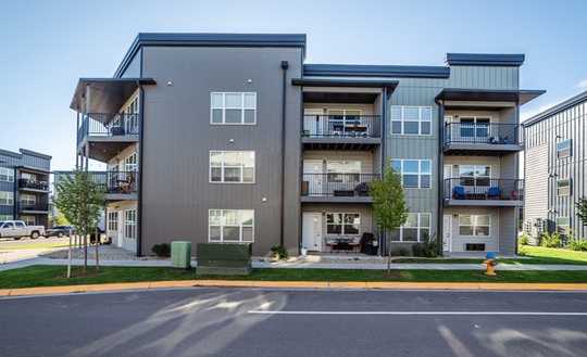 Provi frei 1 Zimmer - Wohnung in 67061 Ludwigshafen