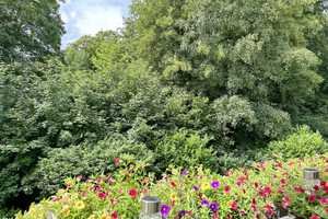 LORENZ-Angebot in Ückendorf: Am Rhein-Elbe-Park. Familienfreundliche 3 1/2-R.-W. - Gut modernisiert. – Gelsenkirchen – Vorschaubild 3