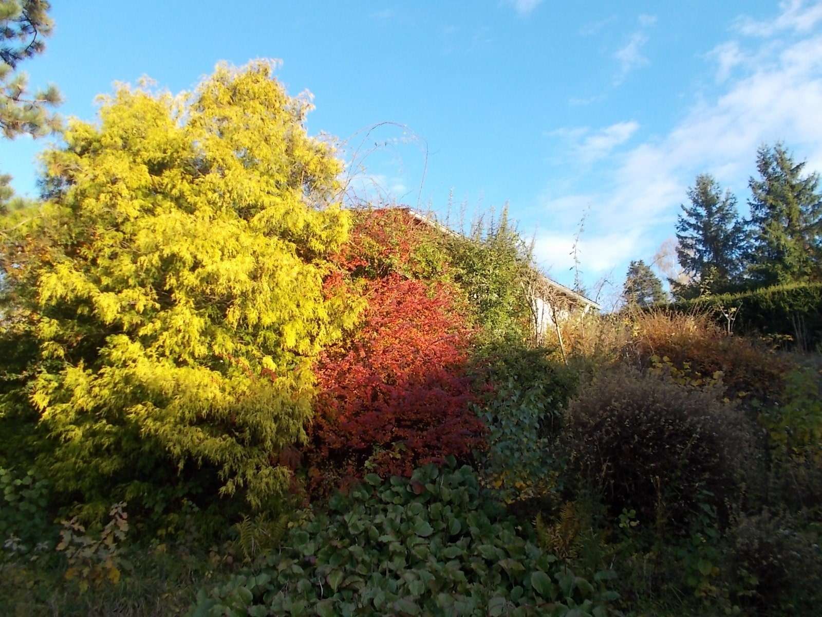 Wochenend- + Ferienhaus in Schotten-Eichelsachsen, Vogelsbergkreis – Bild 2