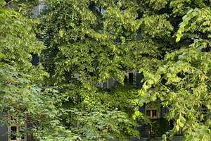 Modernisierte, ruhige Altbau-ETW  im Friedrichshain, Sonne Balkon, Ruhe pur ! – Die vollständige Adresse der Immobilie erhältst du vom Anbieter., 10247 Friedrichshain, Berlin – Vorschaubild 11