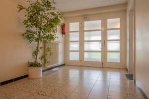 Modernisierte Erdgeschosswohnung mit Balkon in Bielefeld-Senne! – Bielefeld – Vorschaubild 12
