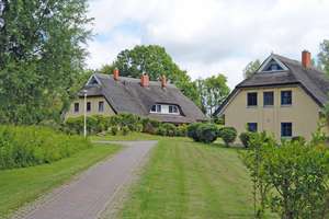 Reetdach Reihenhaus 3 SZ, 2 Bäder, möbliert, 3 Ebenen idyllische Lage Rügen, Kamin, Wallbox – Puddemin 12, 18574 Poseritz – Vorschaubild 4