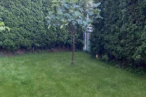 !!! 3-Zimmer-Terrassenwohnung - Süd-/ West Ausrichtung !!! – Die vollständige Adresse der Immobilie erhältst du vom Anbieter., 80993 Alt-Moosach, München – Vorschaubild 14