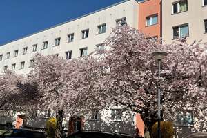 Jetzt besichtigen: charmante 3-Zimmer-Wohnung, ab März 2026 verfügbar!