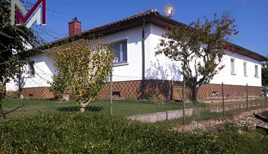 Bild von Wunderschöner Bungalow mit großem Garten*Garage*Stellplatz