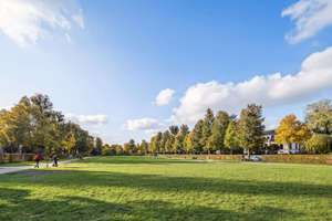 Property thumbnail 17