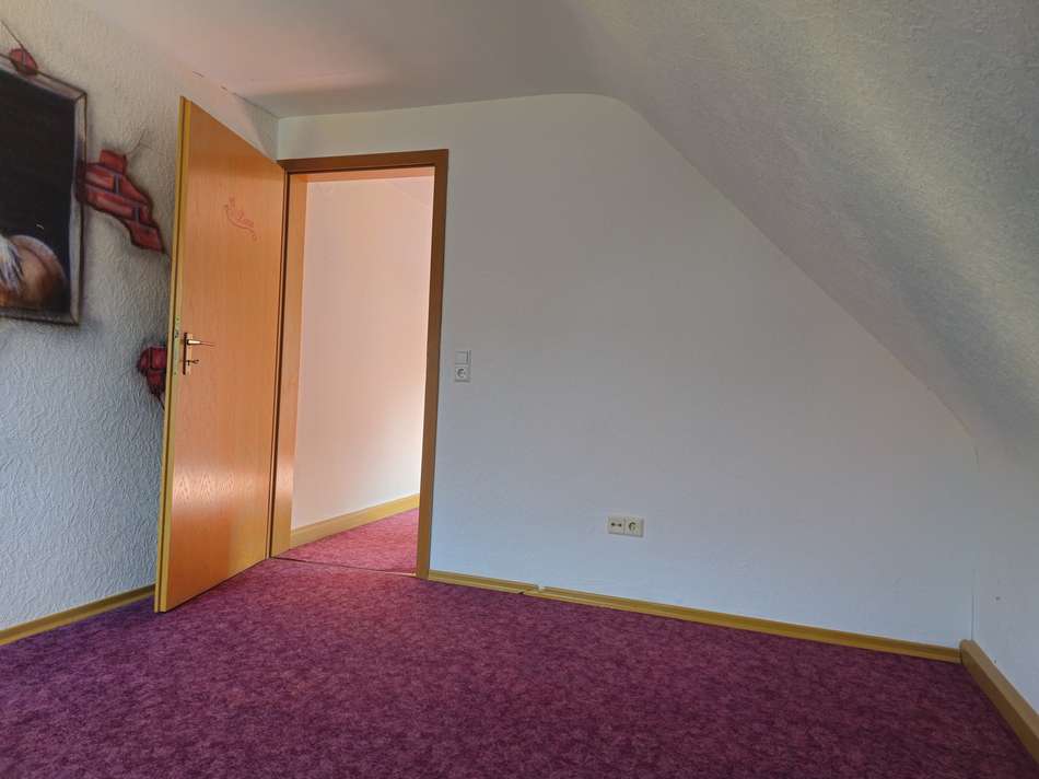 Hier können die Kinder toben