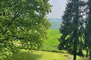 Asbach - Traumhaus mit viel Platz und idyllischem Grundstück
 – Die vollständige Adresse der Immobilie erhältst du vom Anbieter., 53567 Asbach – Vorschaubild 4