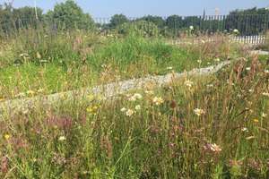 Property thumbnail 10