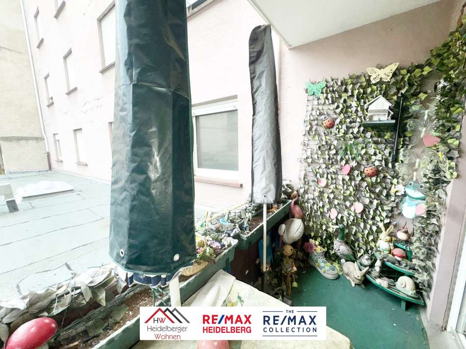 WhatsApp Image 2025-11-10 at 1