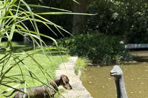 Property thumbnail 19