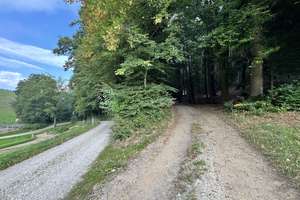 Einzigartiger Pferdehof in traumhafter Alleinlage – Naturparadies mit Wiesen, Wald und Pferdehaltung – Die vollständige Adresse der Immobilie erhältst du vom Anbieter., 84533 Marktl – Vorschaubild 32