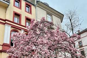 Kapitalanlage mit Perspektive im gefragten Darmstädter Viertel!