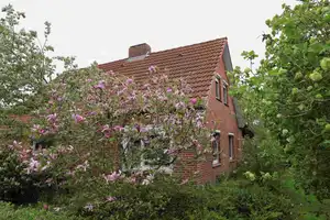***Wohnhaus mit 1.250 m² Grundstück in Rysum/Krummhörn***PROVISIONSFREI – Aurich (Kreis) – Vorschaubild 3