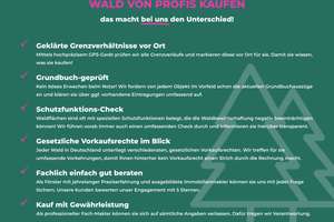 Einzigartiges Naturjuwel in den Allgäuer Alpen – anerkannte Alpe mit Wald- und Weideflächen – Die vollständige Adresse der Immobilie erhältst du vom Anbieter., 87538 Balderschwang – Vorschaubild 38