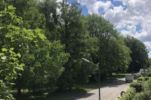 Helle 2-Zimmer-Wohnung, ruhige Lage in Moosach, Balkon mit Blick ins Grüne, möbliert übernehmbar – Die vollständige Adresse der Immobilie erhältst du vom Anbieter., 80992 Moosach-Bahnhof, München – Vorschaubild 21