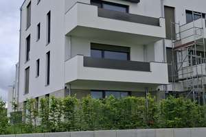 Hochwertige moderne 3-Zimmer Wohnung – An den Rohwiesen 1A, 38446 Reislingen, Wolfsburg – Vorschaubild 2