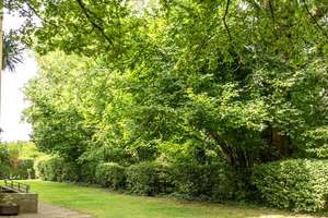 Idyllisches Wohnumfeld – Magdeburger Knie 6, 45147 Frohnhausen, Essen – Vorschaubild 20