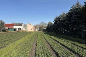 Property thumbnail 10