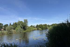 Sehr großzügiges Reiheneckhaus mit neuem Dach, neuer Heizung, Vollkeller und Garten in Eidernähe! – Die vollständige Adresse der Immobilie erhältst du vom Anbieter., 24768 Rendsburg – Vorschaubild 21