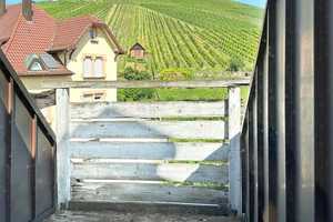 Charmantes Mehrfamilienhaus mit Blick in die Weinberge – Stuttgart – Vorschaubild 6