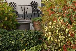 Maisonette-Wohnung mit Garten - exclusiv und möbliert - Stuttgart-Möhringen – Kleinknechtstr. 41, 70567 Möhringen-Mitte, Stuttgart – Vorschaubild 4