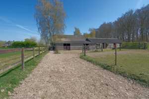 Pferderanch mit drei Wohneinheiten und 2Ha Weideland direkt am Reichswald. – Grafwegenerstraße 16, 47559 Kleve (Kreis) – Vorschaubild 52