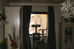 Property thumbnail 37