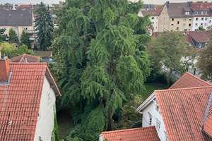 Viel Platz zum Entfalten - Altbauwohnung mit Option auf ausbaufähiges Dachgeschoss – Die vollständige Adresse der Immobilie erhältst du vom Anbieter., 38102 Viewegsgarten-Bebelhof, Braunschweig – Vorschaubild 7