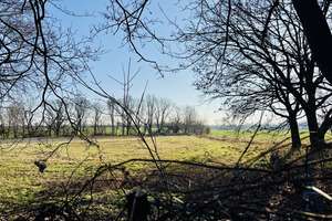 Reserviert!!! Ebenerdiges Bungalow in Neuenhagen - Komfortabler Wohntraum auf einer Ebene! – Die vollständige Adresse der Immobilie erhältst du vom Anbieter., 15366 Neuenhagen bei Berlin – Vorschaubild 35