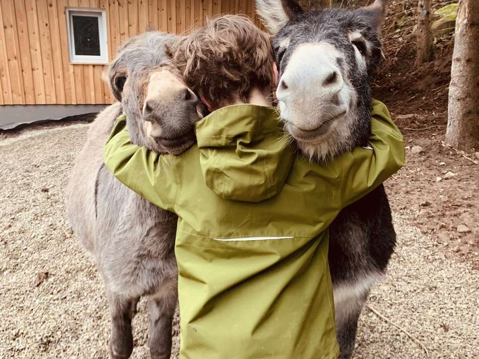 cropped-0CCC786B-3404-425B-B25