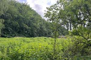 Grundstück im Außenbereich von Bad Münder EFH baufällig
 – Die vollständige Adresse der Immobilie erhältst du vom Anbieter., 31848 Bad Münder am Deister – Vorschaubild 5