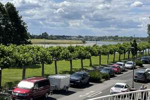 Traumblick auf den Rhein in Oberkassel 