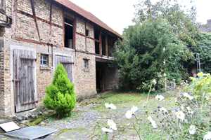 Charmantes Zuhause mit viel Platz – Falltorstraße 4, 64584 Groß-Gerau (Kreis) – Vorschaubild 7