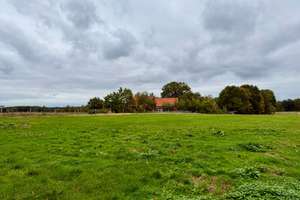 Resthof mit Nebengebäuden und Bauland in Stöckse – vielseitig nutzbar! – Die vollständige Adresse der Immobilie erhältst du vom Anbieter., 31638 Stöckse – Vorschaubild 19