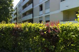 Möblierte 1-Zimmer-Wohnung in München-Forstenried, frisch renoviert & sofort bezugsfertig  – Forstenrieder Allee 10, 81476 Forstenried, München – Vorschaubild 2