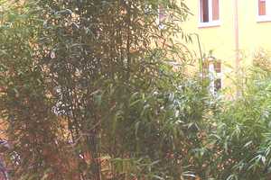 Idylle und hoher Wohnkomfort in attraktiver Altstadtlage. – Magdeburg – Vorschaubild 19