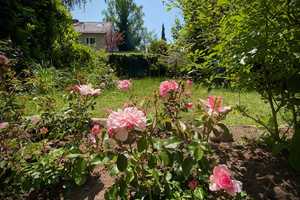 Sympathisches Reihenendhaus mit herrlichem Sonnengarten