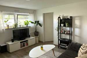 Ruhige 2-Raum-Souterrain-Wohnung direkt vom Eigentümer – Am Stollhenn 71, 55120 Mainz – Vorschaubild 9