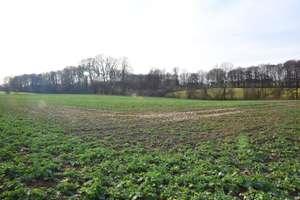 Landwirtschaftliches Anwesen in herrlicher Lage in Spenge - Bardüttingdorf – Die vollständige Adresse der Immobilie erhältst du vom Anbieter., 32139 Spenge – Vorschaubild 13