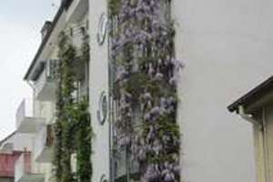 Renditeobjekt München-Obergiesing mit exkl. Maisonette-Wohnung – Die vollständige Adresse der Immobilie erhältst du vom Anbieter., 81539 Obergiesing, München – Vorschaubild 13