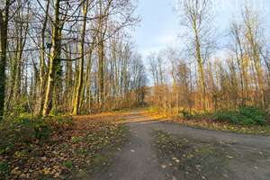 BOTTROP-KIRCHHELLEN! Freistehendes Zweifamilienhaus in Waldrandlage! – Die vollständige Adresse der Immobilie erhältst du vom Anbieter., 46244 Kirchhellen-Mitte, Bottrop – Vorschaubild 3