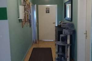 Zooviertel: Charmante 4-Zimmer Wohnung 3. u. 4. Stock – Kaiser-Wilhelm-Allee 9, 42117 Elberfeld West, Wuppertal – Vorschaubild 7