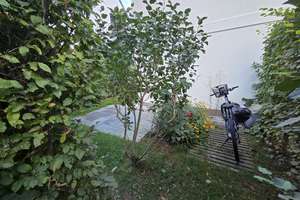 Ruhige, neuwertige 2-Zi.-Gartenwohnung im schönen Solln – 81479 Solln, München – Vorschaubild 8