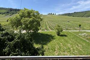 Natur pur - Großes EFH am Ortsrand - Nähe Trier und Luxemburg – Beim Weinskreuz 1, 54340 Leiwen – Vorschaubild 25